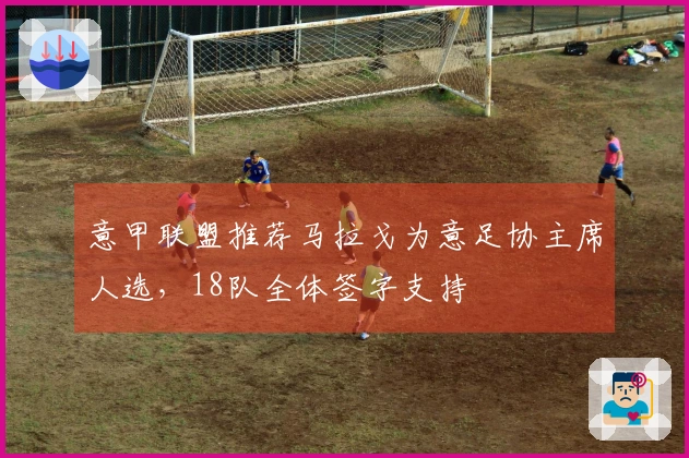 意甲联盟推荐马拉戈为意足协主席人选，18队全体签字支持